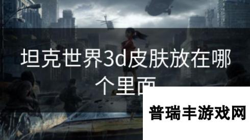 坦克世界3d皮肤放在哪个里面