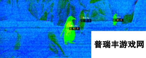 《癫狂动物园》游戏官网地址介绍